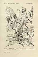  no thumbnail available