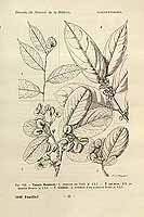  no thumbnail available