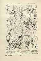  no thumbnail available