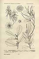  no thumbnail available