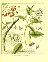  no thumbnail available