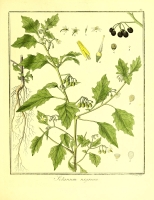  no thumbnail available