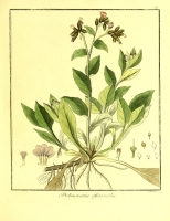  no thumbnail available