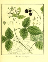  no thumbnail available