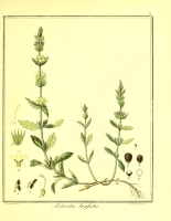  no thumbnail available