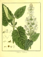  no thumbnail available