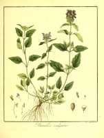  no thumbnail available