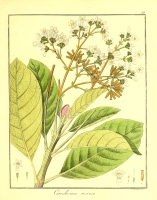  no thumbnail available