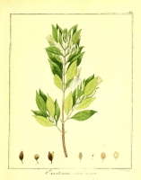  no thumbnail available