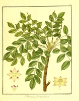  no thumbnail available