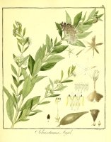  no thumbnail available