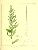  no thumbnail available