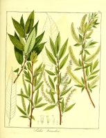  no thumbnail available