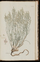  no thumbnail available