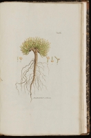  no thumbnail available