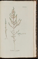  no thumbnail available