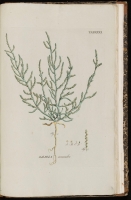  no thumbnail available