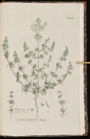  no thumbnail available