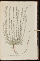  no thumbnail available