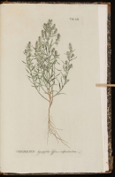  no thumbnail available