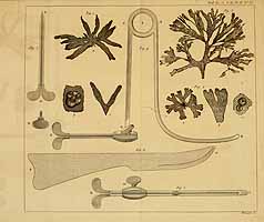  no thumbnail available