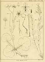  no thumbnail available