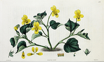  no thumbnail available