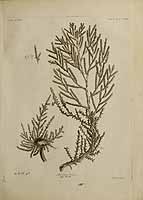  no thumbnail available