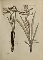  no thumbnail available