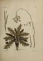  no thumbnail available