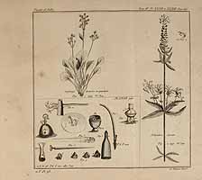  no thumbnail available