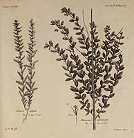  no thumbnail available