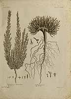  no thumbnail available