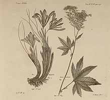  no thumbnail available