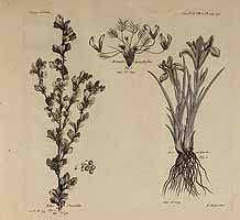  no thumbnail available