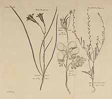  no thumbnail available