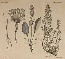  no thumbnail available