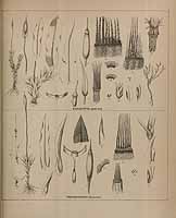  no thumbnail available