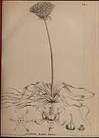  no thumbnail available