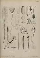  no thumbnail available