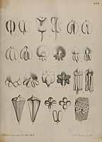  no thumbnail available