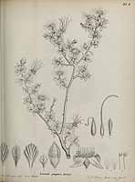  no thumbnail available