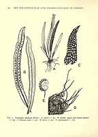  no thumbnail available