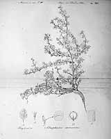  no thumbnail available