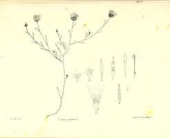  no thumbnail available