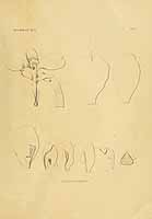  no thumbnail available