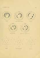  no thumbnail available