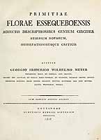  no thumbnail available