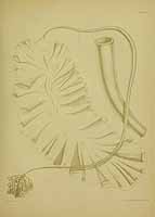  no thumbnail available