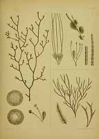  no thumbnail available